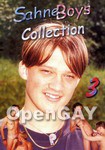 Sahne Boys Collection 3 (Tino Video - Sahne Boys Collection)