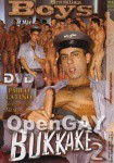 Bukkake 2- Pablo Latino (DMV - Brazilian Boys)