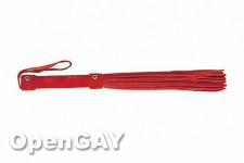 Whip Leather Small Red 